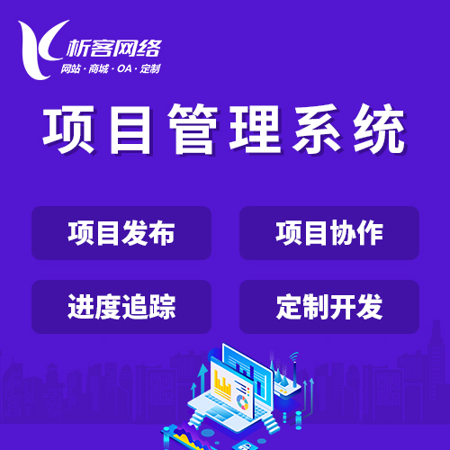 深圳项目管理系统