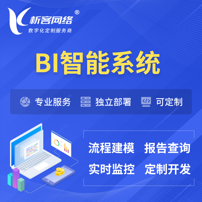 深圳BI智能系统 | BI数据可视化